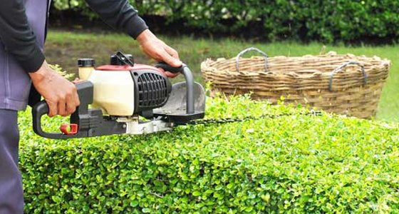 Hedge-Trimming