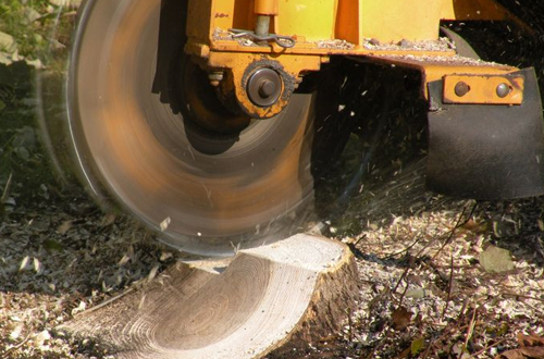 Stump Grinding