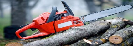 Leaning Poplar Tree Felled in Barnet